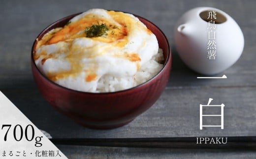 【11月末頃～3月下旬発送】飛鳥自然薯　『一白　IPPAKU』（約700g×1箱）