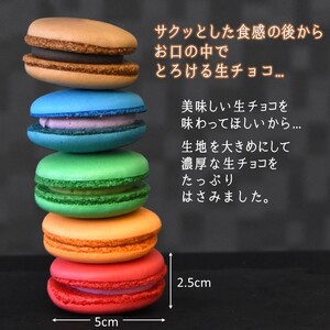 5色の生チョコマカロン 生マカロン 5個入り 生チョコ