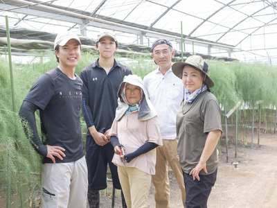 【先行予約】石下農園のメロン 赤肉 Lサイズ 2玉 ｜ 果物 くだもの フルーツ メロン 国産 クインシーメロン 赤肉 赤肉メロン 旬 期間限定 季節限定 夏季限定 産地直送 栃木県 芳賀町※2025