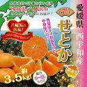 【ふるさと納税】柑橘の大トロ!「せとか」約3.5キロ　限定250個【訳あり品・家庭向け】【C39-51】_ 訳あり ワケアリ みかん ミカン 柑橘 せとか 果物 くだもの フルーツ 旬 愛媛 柑橘の大トロ 濃厚 甘み 国産 産直 規格外 不揃い 傷 【配送不可地域：離島】【1491413】