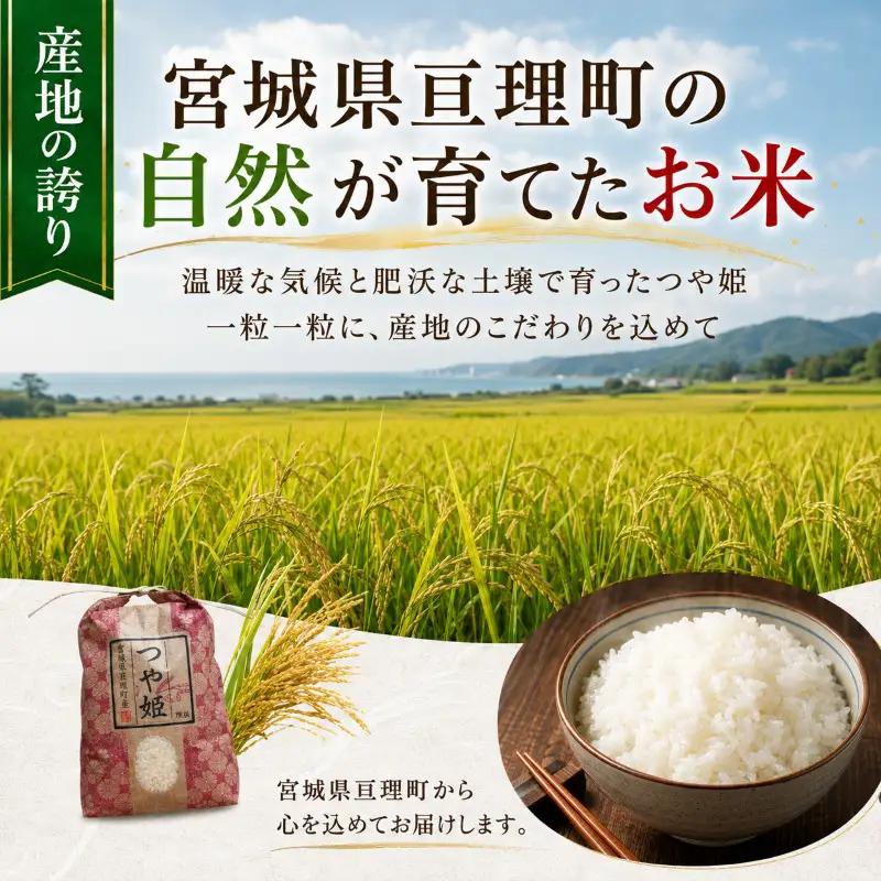 【定期便2回】 つや姫 5kg(5kg×1袋) 令和8年産 新米 先行予約 宮城県産 米 精米