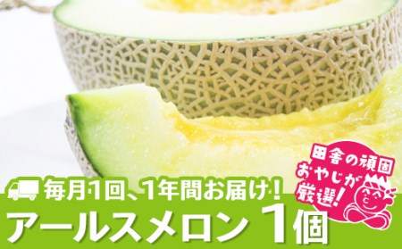 【定期便】 アールスメロン 食べてみセット 1個入り 毎月1回 1年コース (全12回) フルーツ 果物