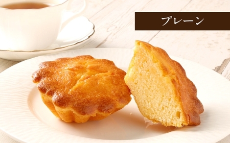 大きい！マドレーヌ（プレーン・チョコチップ） 8個 お菓子 菓子 デザート スイーツ マドレーヌ ビッグ BIG プレーン チョコチップ