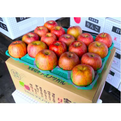 
            ＜26年3月出荷予定＞平均糖度13度以上! サンふじ 約5kg おもてなし用【1612805】
          