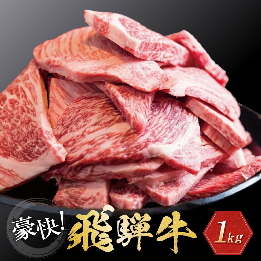飛騨牛 丸明 焼肉 切りおとし 1kg 和牛 訳あり 牛肉 部位不揃い 不揃い カルビ 切落し 焼き肉 焼肉用 牛 わけあり 20000円 2万円 二万円 人気 高山市 飛騨高山 岐阜県
