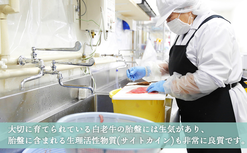 【定期便・全3回】北海道白老産 生プラセンタ美容液 〜アヨロのピリカ〜 AN005_イメージ4