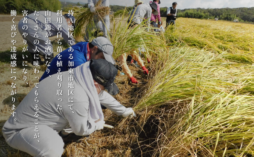 獺祭 加東 磨き三割九分 ・ 剣菱 なんでんの 飲み比べ 各720ml 加東市特A地区産山田錦使用[ 獺祭 剣菱酒造 日本酒 酒 お酒 純米大吟醸 純米酒 贈答品 ]