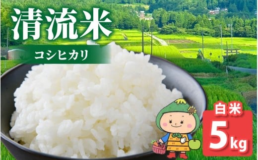 【先行予約】【令和7年産 新米】【福井県大野市】さかだに棚田清流米！(コシヒカリ)（白米） 5kg「今話題の、あのバンドのロケ地！」#🍏