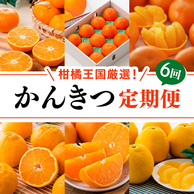 【定期便】【愛媛県共通返礼品】愛媛のかんきつ定期便（全6回）（日の丸みかん・紅まどんな・伊予柑・不知火・せとか・河内晩柑) ｜ みかん 蜜柑 日の丸みかん 紅まどんな 伊予柑 不知火 デコポン せとか