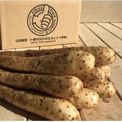 ふるさと納税 帯広市 北海道十勝帯広産 ながいも 10kg |  | 01