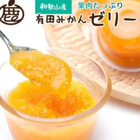 果肉ごろごろ有田みかんゼリー9個【有田みかんネクターをゼリーにしました】【1758856】