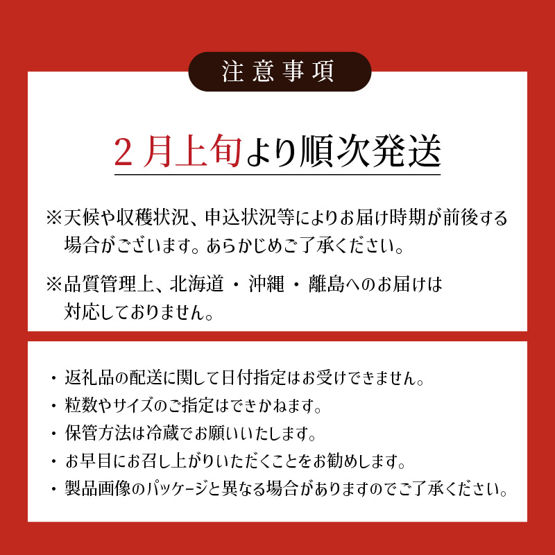 【2月下旬より順次発送】農家直送 朝採り新鮮いちご 【博多あまおう】(約270g)×2パック