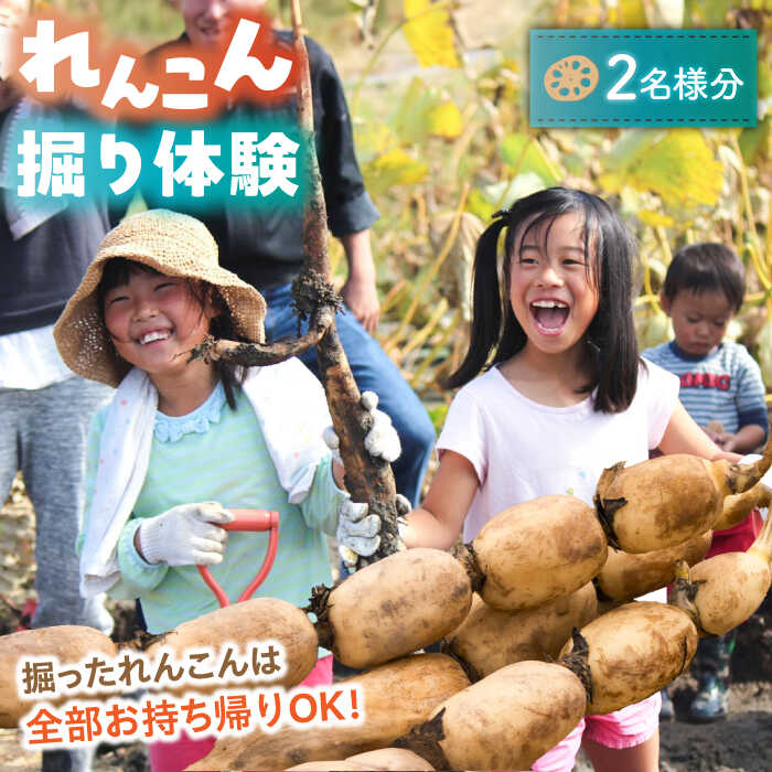 【ふるさと納税】 れんこん レンコン掘り体験 チケット （ ペアチケット ） 蓮根 食育 体験 産地直送 愛西市 / 清水食品 [AEAJ004]