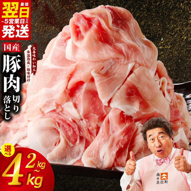 【ふるさと納税】最短翌日発送 国産豚肉 切り落とし 2kg / 4kg 氷温熟成×極味付け 1P 500g 豚 肉 豚肉 熟成肉 国産 カレー 野菜炒め 豚丼 豚汁 発送月 訳あり 冷凍 ストック 時短調理 5営業日 大阪府 泉佐野市 送料無料 肉の泉佐野