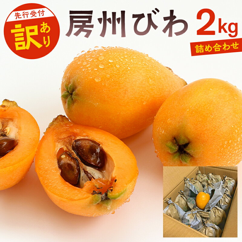 【ふるさと納税】【先行受付 2026年5月下旬～6月下旬発送予定】〈訳あり〉房州びわ 露地栽培 2kg 詰め合わせ 千葉県 南房総市 特産品 食べ応え フルーツ 果物 お取り寄せ グルメ 送料無料