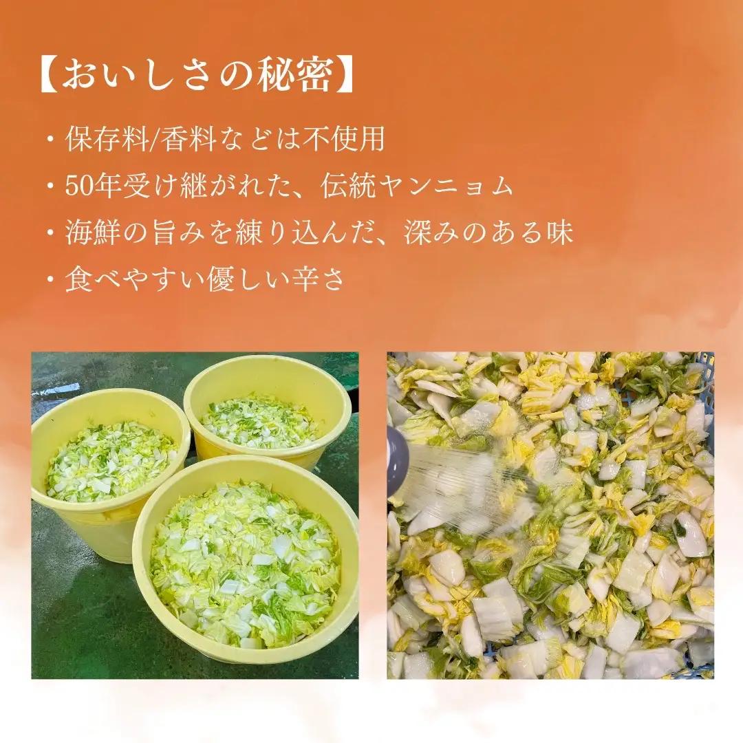 母ちゃんのキムチ 1.5kg （150g×10袋） 冷凍 | キムチ 白菜キムチ