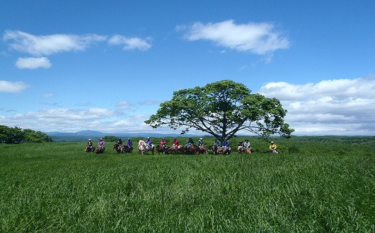 鶴居村の自然を満喫することができます