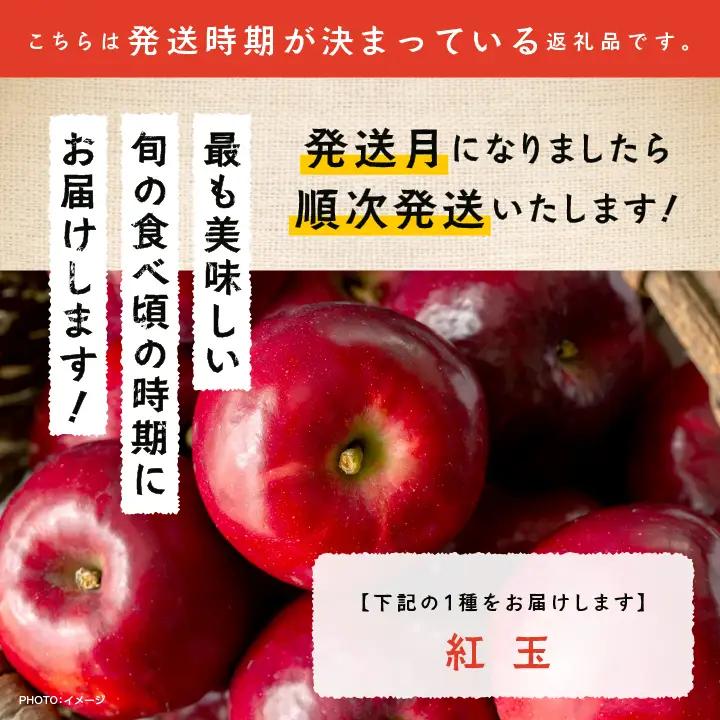 《2026年10月中旬以降順次発送》羽山のりんご 紅玉 5kg【羽山果樹組合】
