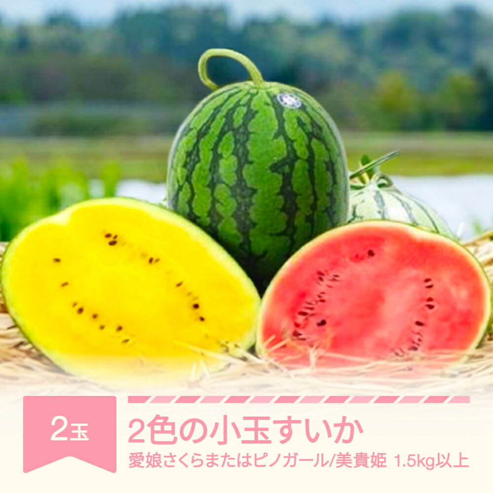 【ふるさと納税】先行予約 すいか 2色の小玉すいか 2玉 令和7年産 2025年産 果物 送料無料 ※沖縄・離島への配送不可