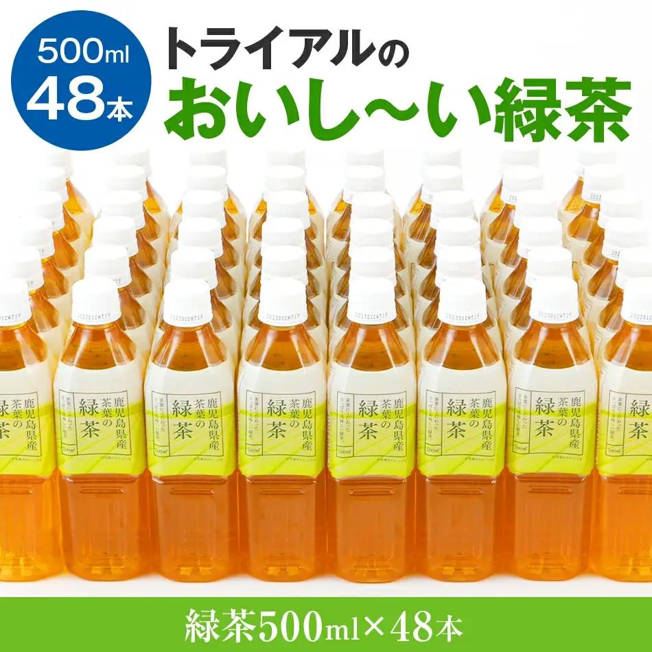 お茶 ペットボトル おいし～い緑茶 500ml×48本 お茶