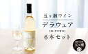 【ふるさと納税】五ヶ瀬ワイン デラウェア（白・やや甘口） 720ml 6本 五ヶ瀬ワイナリー ワイン 白ワイン 柑橘系 肉料理 国産 宮崎 五ヶ瀬町 五ヶ瀬町産ぶどう100％