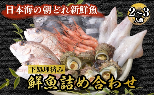 
                  海鮮鮮魚詰め合わせセット 能登の朝どれ「いきいき七尾魚」（2～3人前）｜海鮮 魚貝類 魚介類 魚 鮮魚 詰め合わせ セット下処理済み 鯛 鰤 ブリ　鯖 サバ 鯵 アジ 海老 エビ 旬 能登 七尾市 石川県 ※2026年1月中旬頃より順次発送予定 ※北海道・青森・九州（福岡を除く）・沖縄・離島への配送不可
                