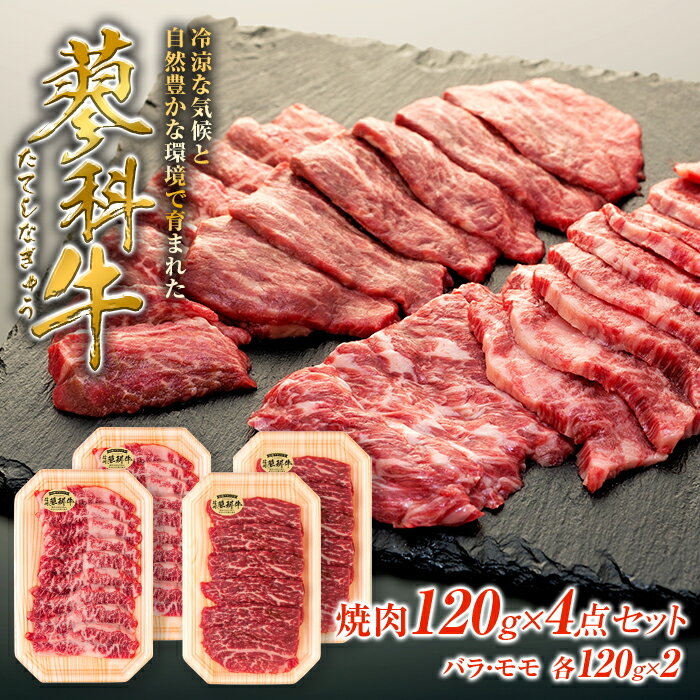 【ふるさと納税】蓼科牛 焼肉120g×4パック（バラ・モモ各2パック） | 国産 肉 牛肉 牛 お肉 焼肉 セット 食べ比べ モモ バラ BBQ バーベキュー お取り寄せ グルメ 蓼科牛 ふるさと 信州 長野県 立科町 蓼科