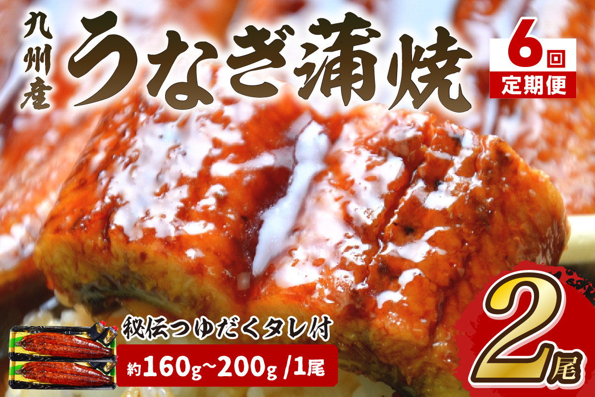 
            【6回定期便】九州産うなぎ蒲焼2尾　秘伝つゆだくタレ付【001-0385】
          