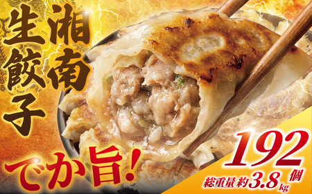 ブランド豚使用 湘南生餃子 192個 約3.8kg【 餃子 ぎょうざ 】