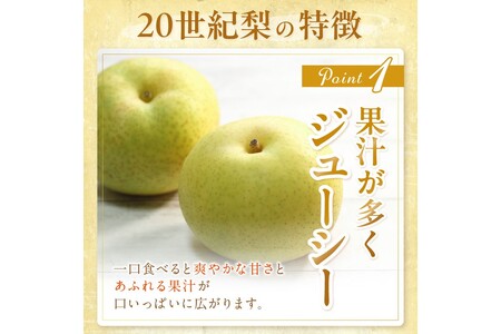 【先行予約／数量限定150】京丹後産 20世紀梨 5kg（12～16玉入り）（2024年9月～発送）