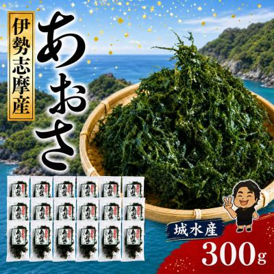 ふるさと納税 南伊勢町 城水産 伊勢志摩産 あおさ海苔 約15g×20 三重県南伊勢町から全国へ 地域特産の香り高い青さのり