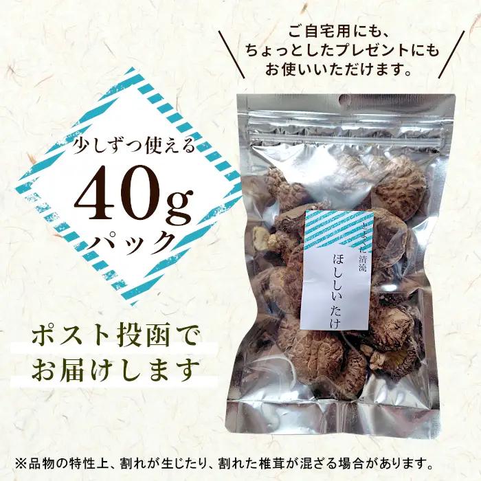 無農薬 原木栽培 肉厚 とよくに清流 ほししいたけ 80ｇ しいたけ 椎茸 シイタケ 原木椎茸 野菜 きのこ 無農薬栽培 干ししいたけ 乾燥しいたけ 干し椎茸 バーベキュー お試し 煮物 ネコポス -