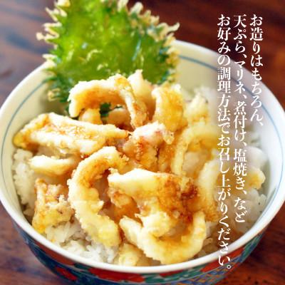 ふるさと納税 美浜町 【先行受付】11月〜順次発送　大好評!墨抜き済!活〆!若狭アオリイカの生冷凍1kg |  | 03
