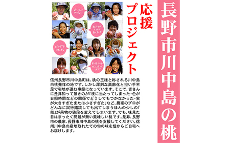 【先行予約】長野市川中島の桃農家を応援プロジェクト  2025年配送！桃6キロ以上  ※クレジット限定