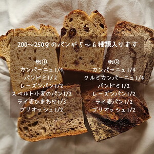 No.348 【国産有機小麦と自然栽培小麦・ライ麦使用】素材を味わうパンセット ／ パン 国産小麦 自然栽培 小麦 ライ麦 天然酵母 ルヴァン種 国産素材 自家製粉 自家製ルヴァン種 パンセット 詰め