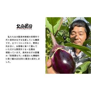 水なす丸漬酸味２個＋生水なす２個