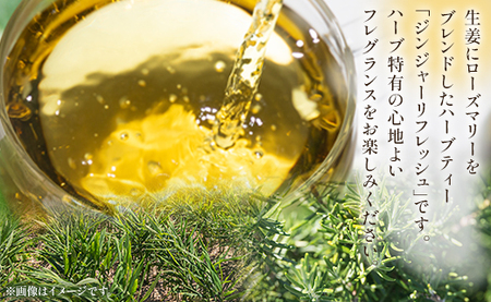 ハーブティー(ジンジャーリフレッシュ) 36袋 - お茶 飲み物 ティーバッグ 茶葉 生姜 ローズマリー ハーブ リラックス gr-0077