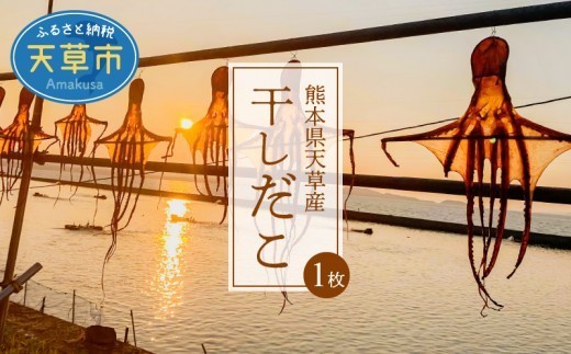 
                  S116-001A_熊本県天草産干しだこ　1枚
                