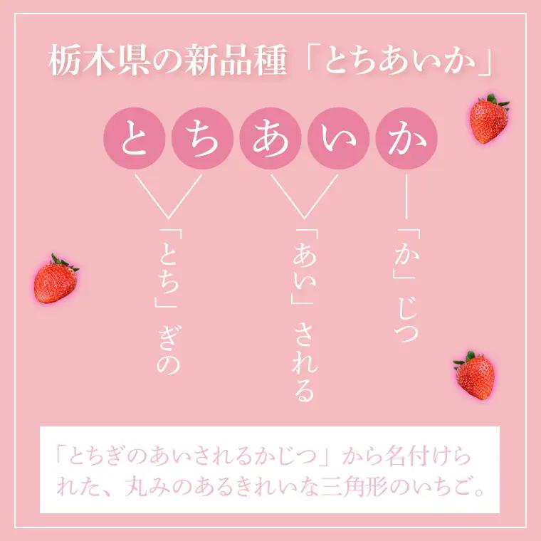 とちあいか いちご ★贈答用★ 600g 300g×2P DJ002