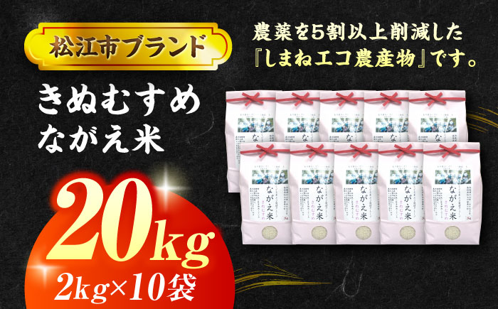 【令和7年産】松江市産きぬむすめ「ながえ米」20kg(2kg×10) 島根県松江市/有限会社藤本米穀店 [ALCG017]