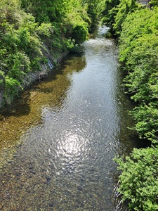 【2月発送】令和7年産　三重県大紀町産コシヒカリ精米5kg ／ 精米 したてを 直送 ！ 新鮮 なお米を食卓へ San Farm Taiki コシヒカリ 三重県 大紀町