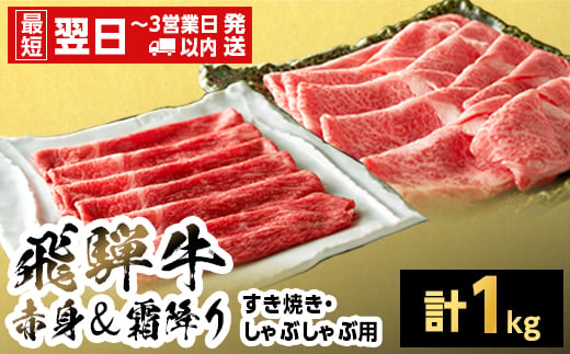 【最短発送】飛騨牛 赤身＆霜降り2種セット (すきしゃぶ用) 計1kg 岐阜県産 黒毛和牛 すき焼き しゃぶしゃぶ 霜降り 赤身 牛肉 和牛 国産 お取り寄せ ごちそう 自宅用 大容量 もも カタ ロース 肩ロース 東白川村 岐阜 鍋 養老ミート 最短発送
