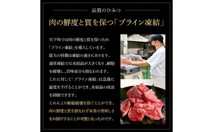 熟成肉 土佐あかうし 土佐和牛2種食べ比べ 特選ヒレ肉サイコロステーキ 約1kg (約500g×各1) 【株式会社LATERAL】 [ATAY101]