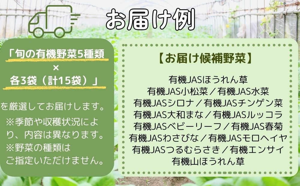 （チルド）山口農園 有機野菜 おまかせセット ／ふるさと納税 山口農園  伝統野菜 オーガニック ベジタリアン 無農薬 野菜セット  農家直送  詰め合わせ 奈良県 宇陀市 