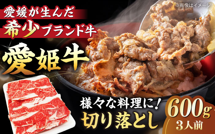 
            【冷凍】 国産 牛肉 『愛姫牛』切り落とし 600g （3人前）愛媛県大洲市/有限会社 木村屋精肉店 [AGCC029] 牛肉 焼肉 ブランド牛 ブランド牛肉 肉 牛 国産牛 切り落とし 和牛 しゃぶしゃぶ 鍋
          