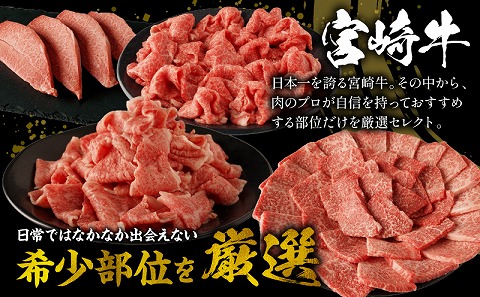 宮崎牛厳選部位食べ尽くしセット_M179-027