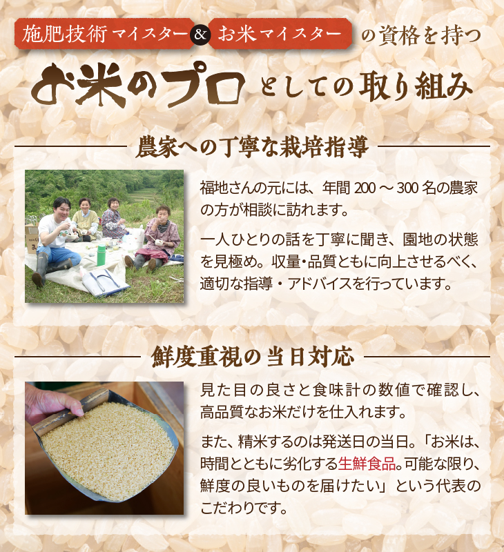天日干しひとめぼれ 玄米600g [AC043]