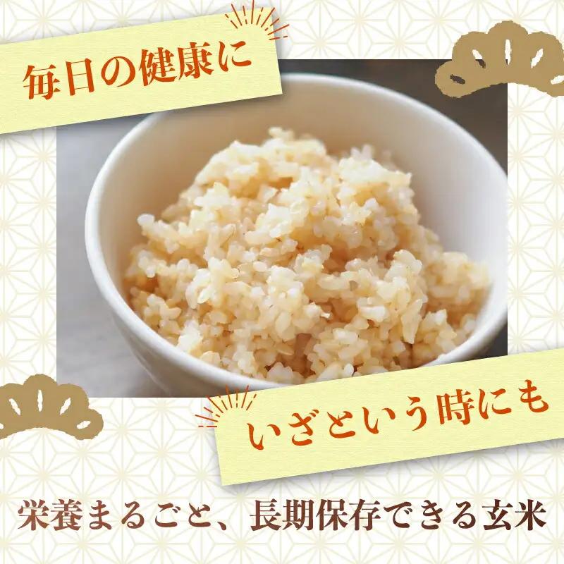 【1週間以内発送】 コシヒカリ 玄米 10kg 令和7年産 玄米 南国市 
