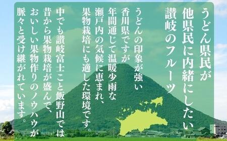 フルーツ定期便 12回 讃州丸亀 旬の果実セット ﾌﾙｰﾂﾌﾙｰﾂﾌﾙｰﾂﾌﾙｰﾂ 定期便
