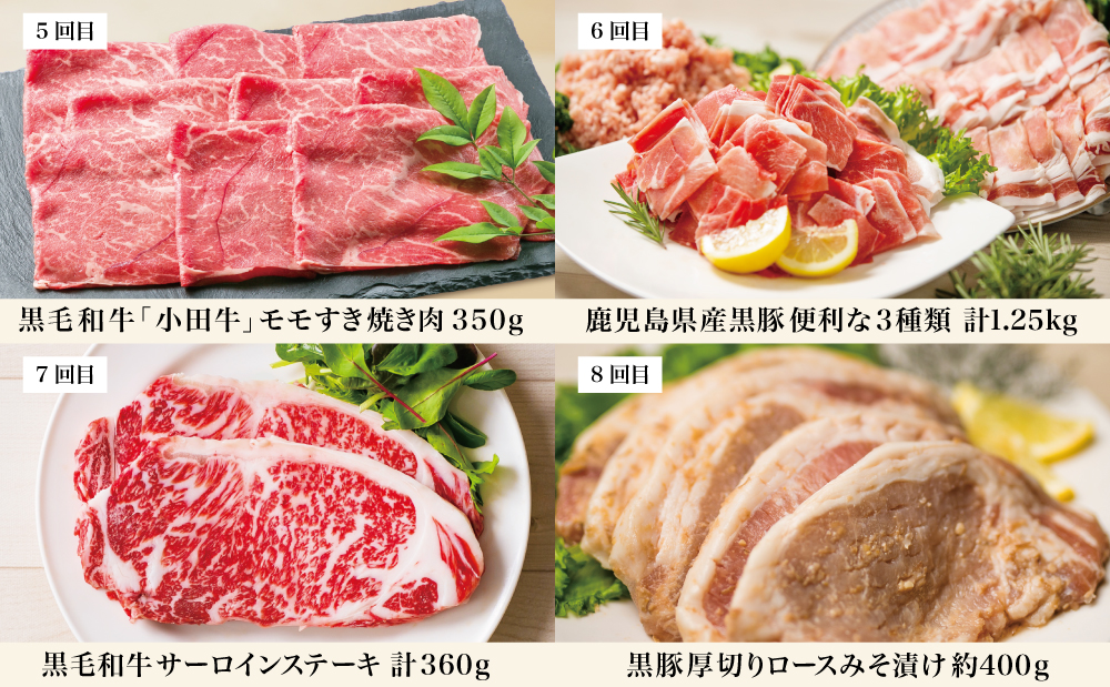 畜産王国・南さつま市のオールスター厳選お肉定期便（10回）牛肉 豚肉 すき焼き しゃぶしゃぶ 赤身 焼肉 味噌漬け 冷凍 定期便 鹿児島 南さつま市
